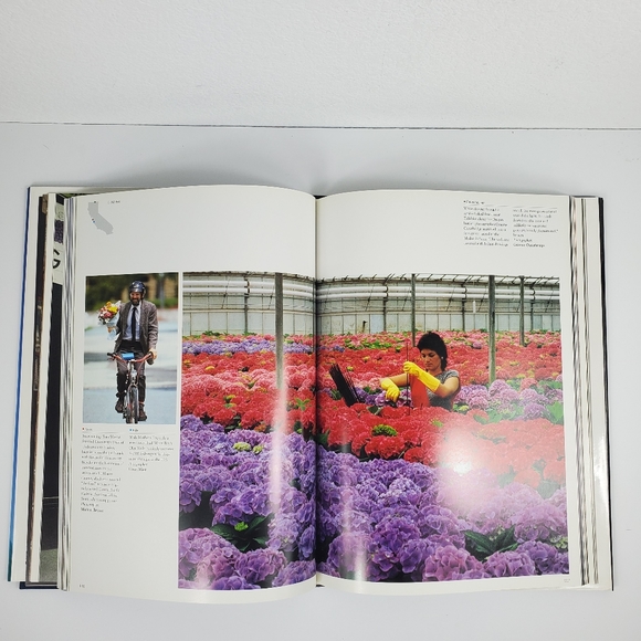 1988 A Day In The Life Of California Coffee Book - Picture 4 of 9